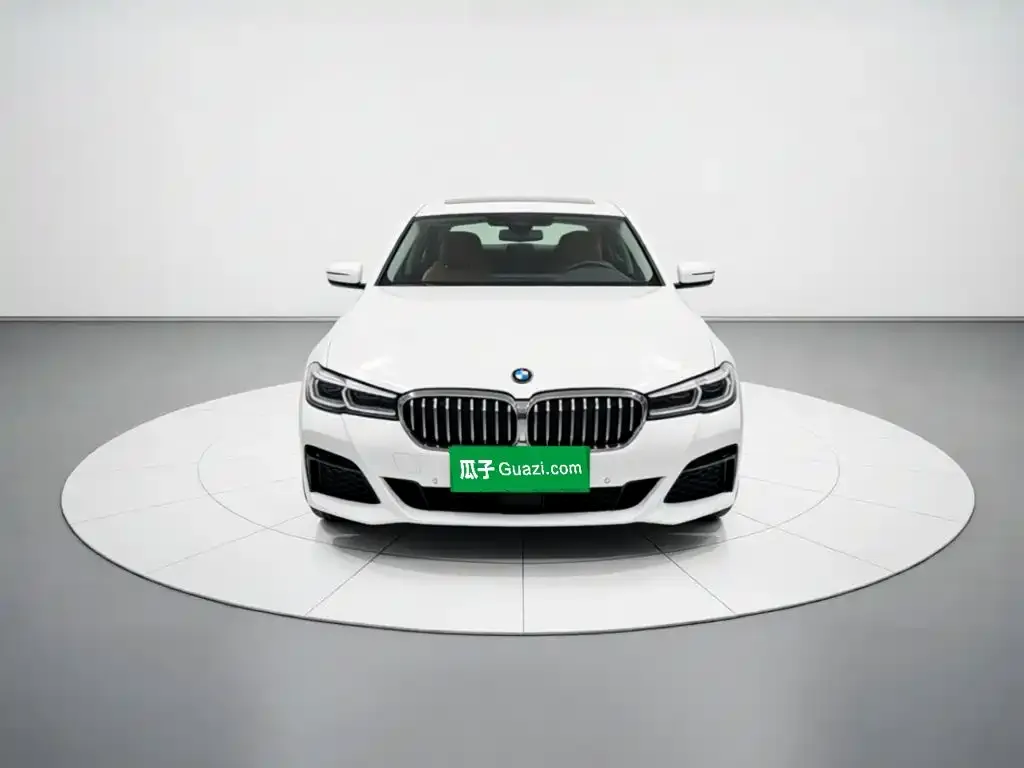 BMW 5 Series New Energy — фото 4