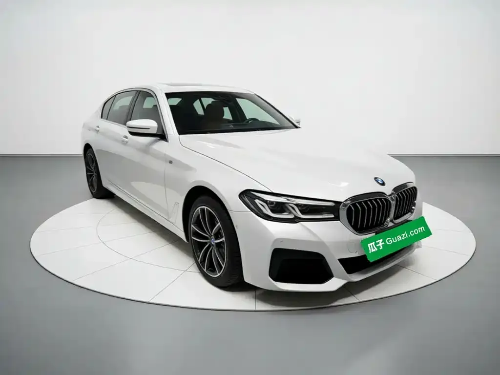 BMW 5 Series New Energy — фото 3
