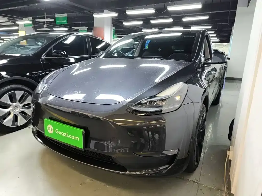 Tesla Model Y — фото 10