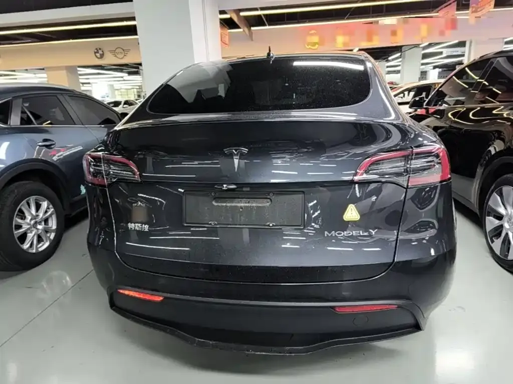 Tesla Model Y — фото 5