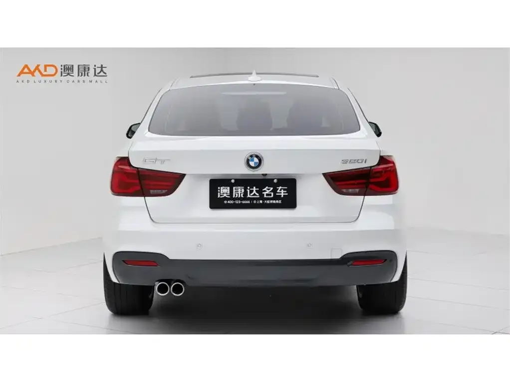 BMW 3 Series GT — фото 10