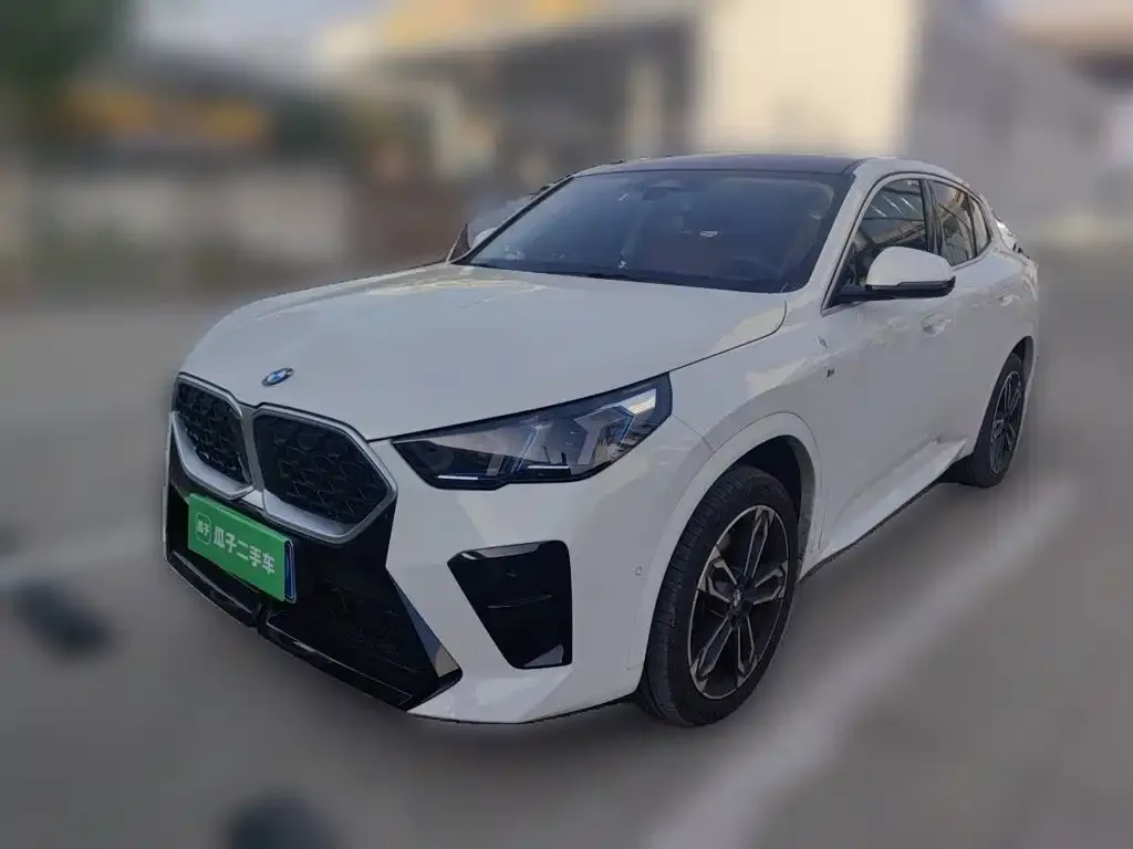 BMW X2 (Import) — фото 1