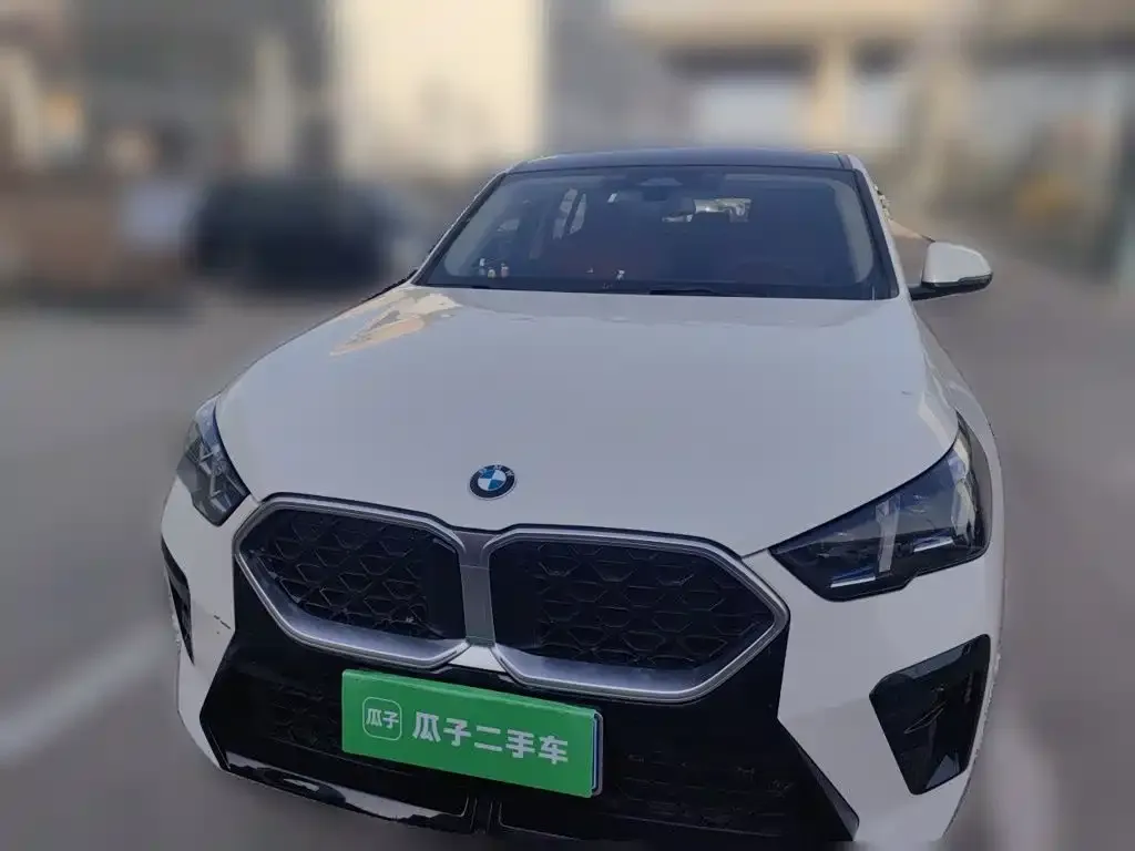 BMW X2 (Import) — фото 4