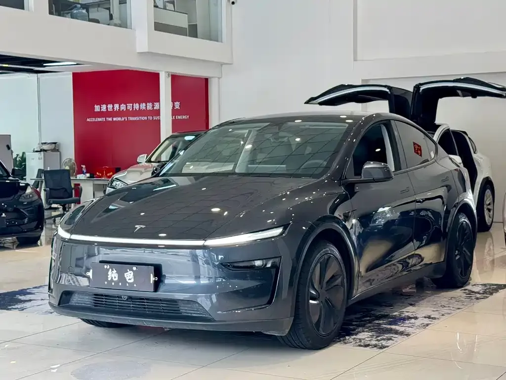 Tesla Model Y — фото 1