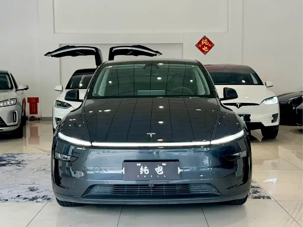 Tesla Model Y — фото 10