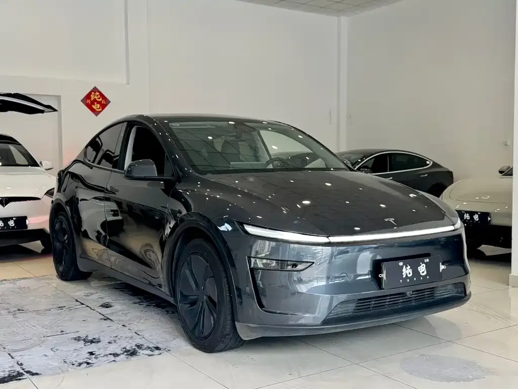 Tesla Model Y — фото 5