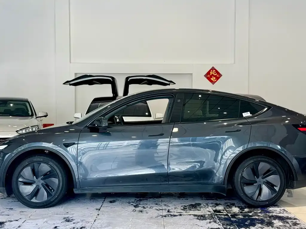 Tesla Model Y — фото 2