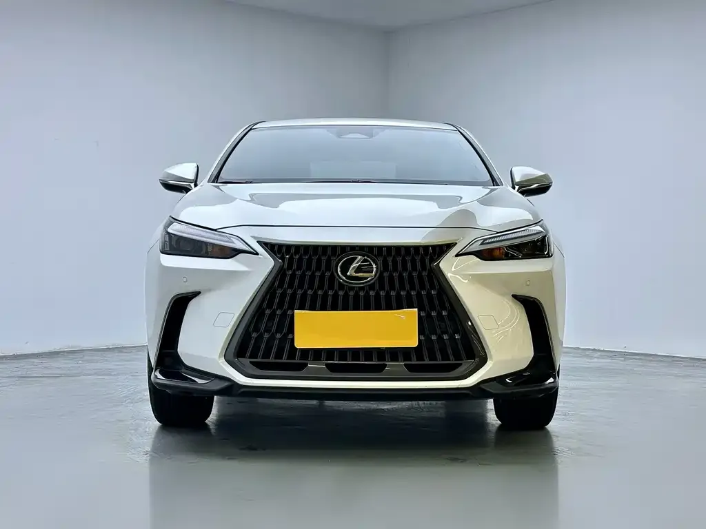 Lexus NX — фото 4