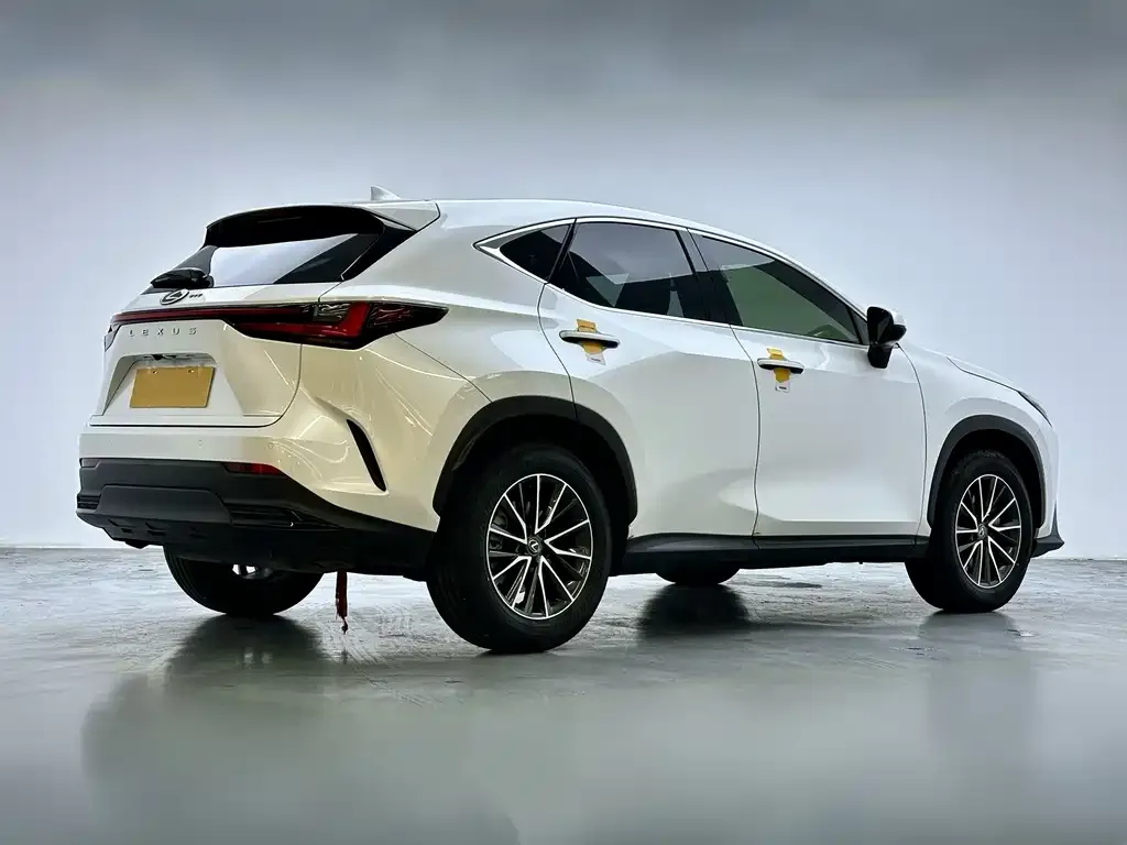 Lexus NX — фото 6