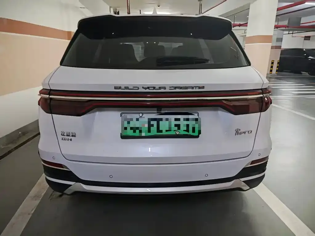 BYD Pro New Energy — фото 3