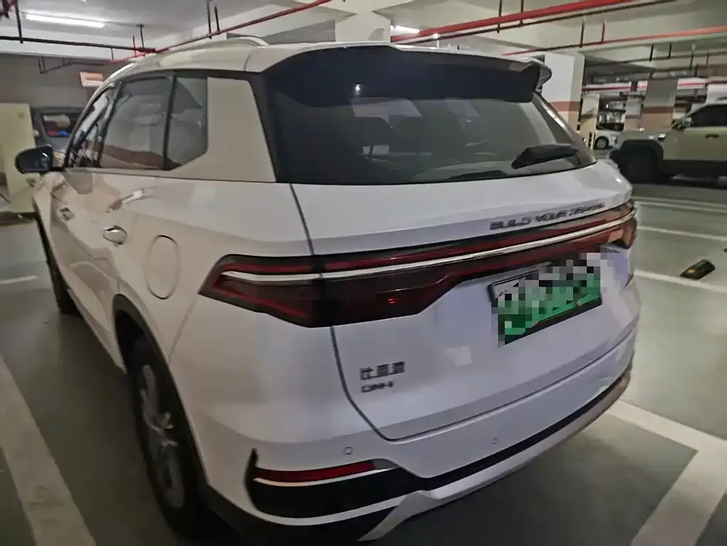 BYD Pro New Energy — фото 2