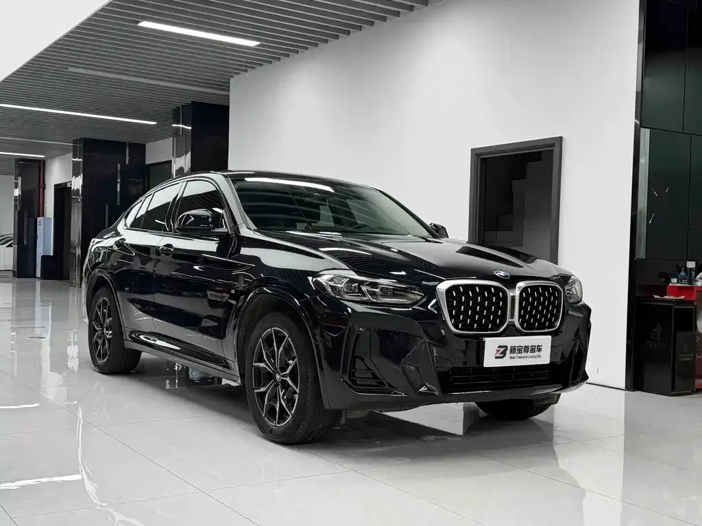 BMW X4 — фото 10