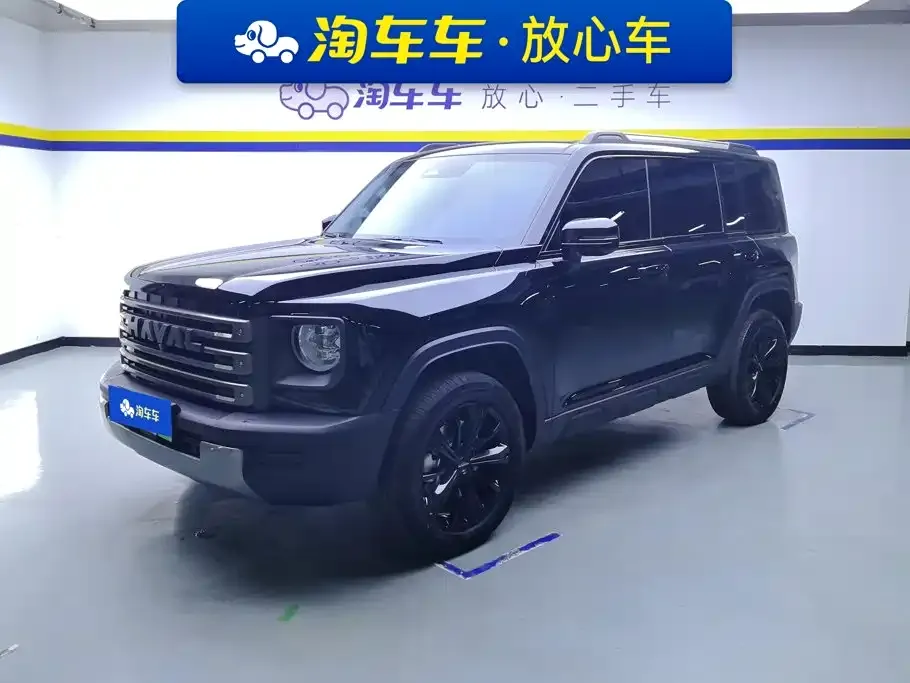 Haval Menglong New Energy — фото 1