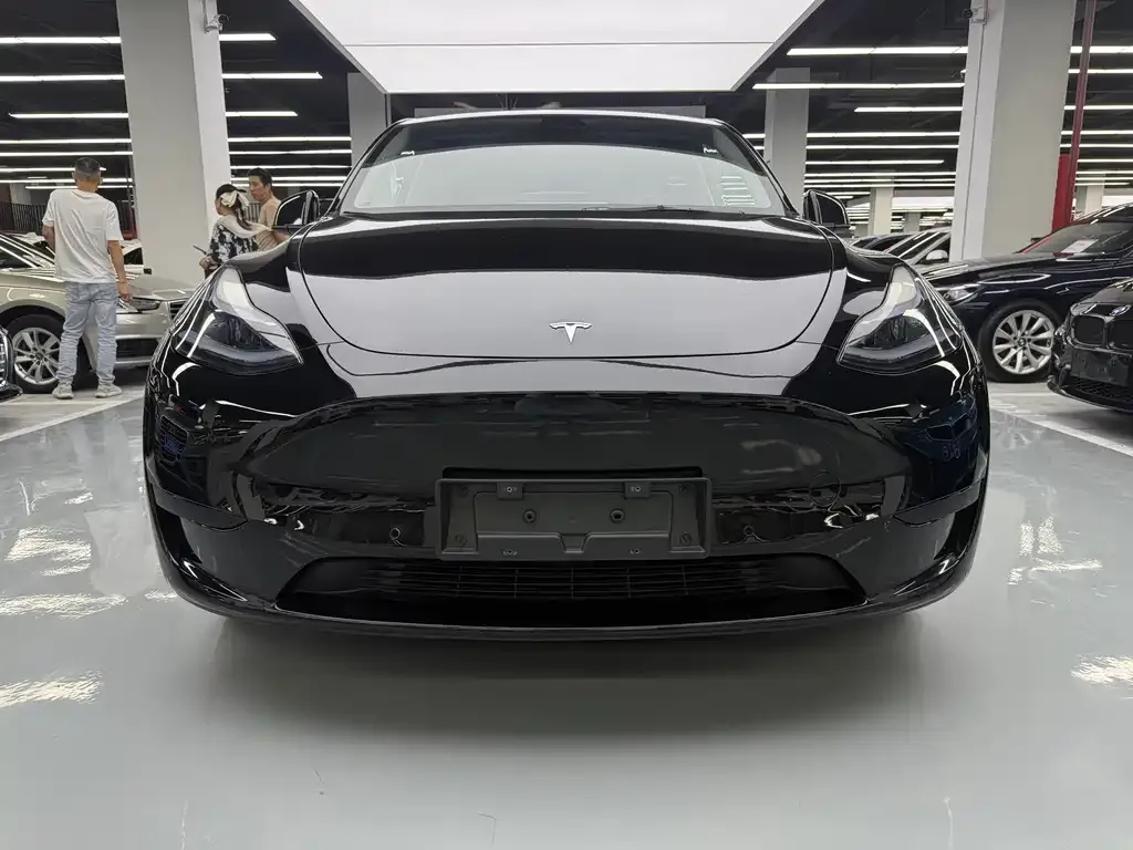 Tesla Model Y — фото 2