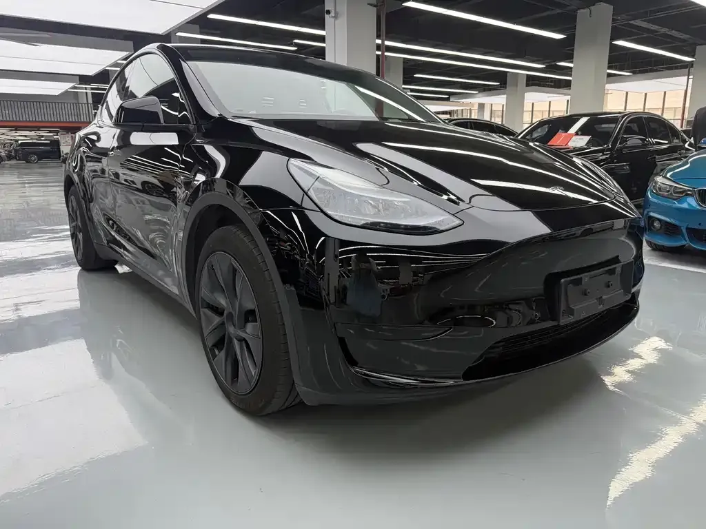 Tesla Model Y — фото 7
