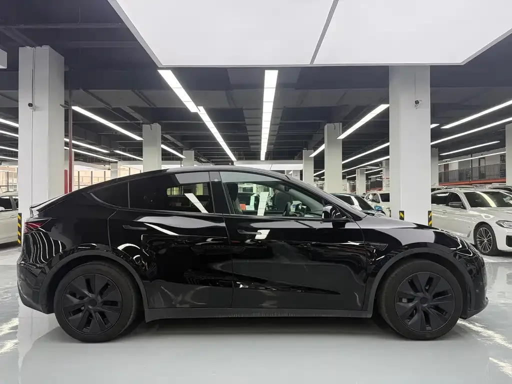 Tesla Model Y — фото 10