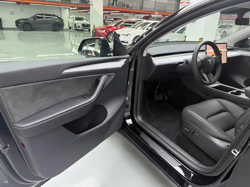 Tesla Model Y — фото 8