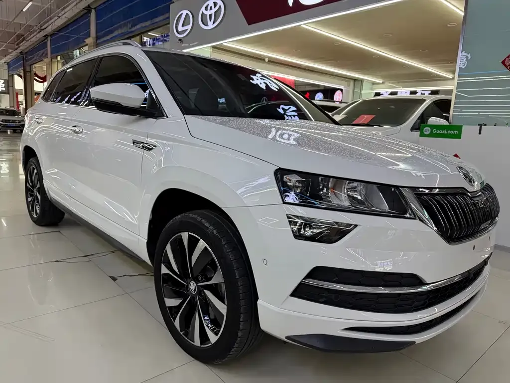Skoda Karoq — фото 10