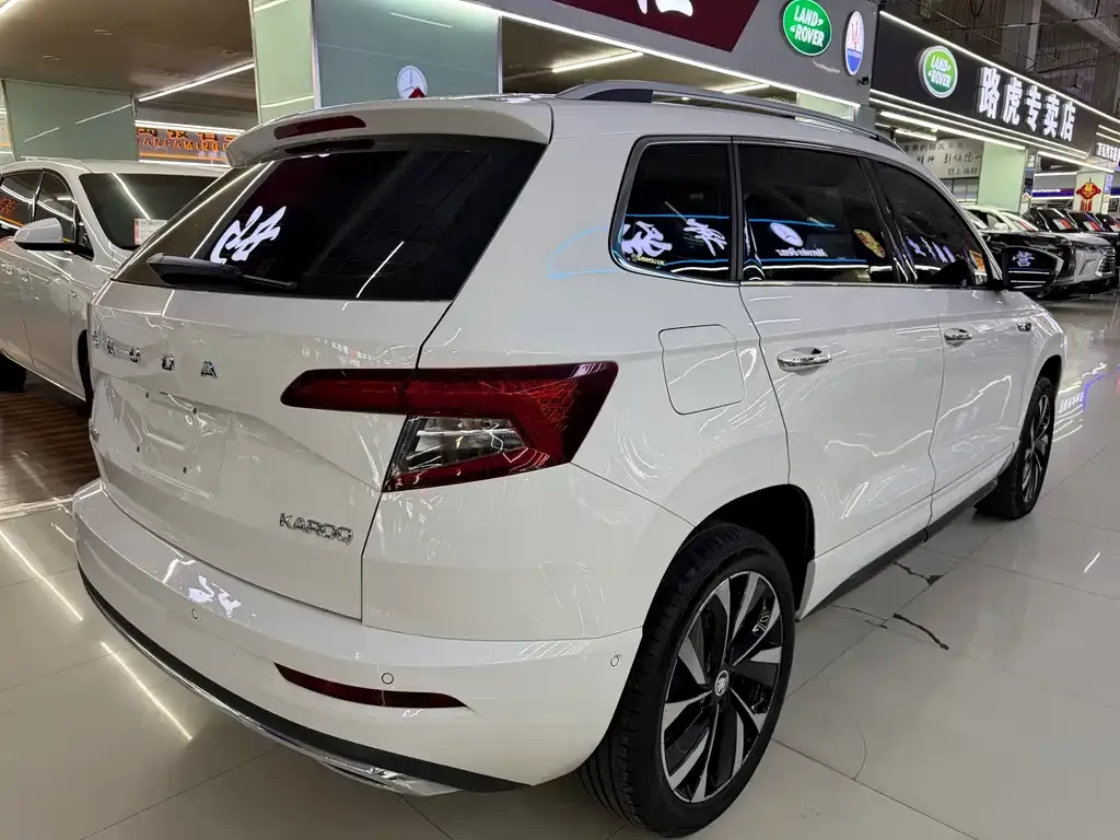 Skoda Karoq — фото 8