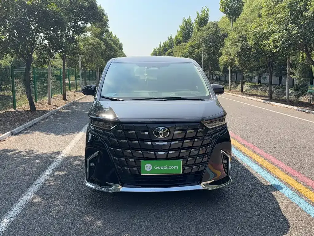 Toyota Alphard — фото 10