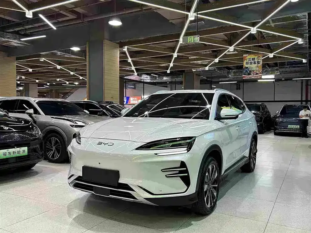 BYD PLUS New Energy — фото 1