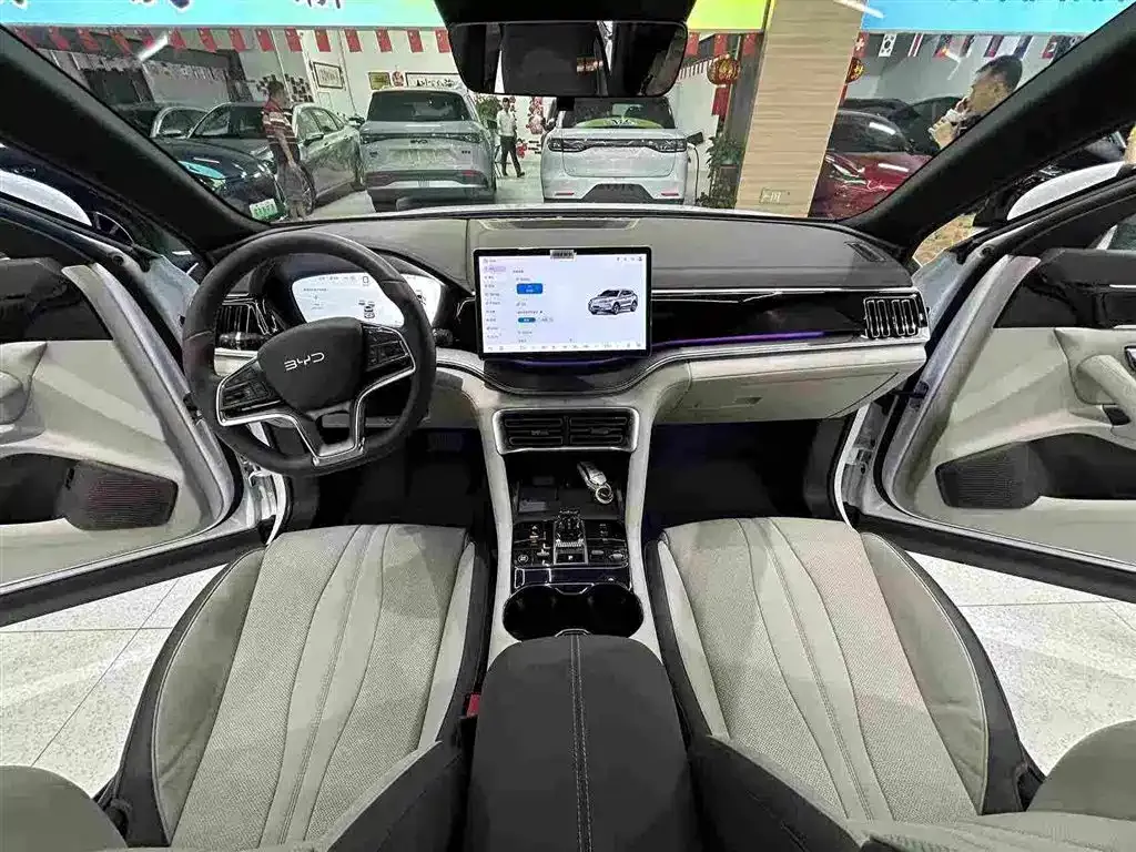 BYD PLUS New Energy — фото 10