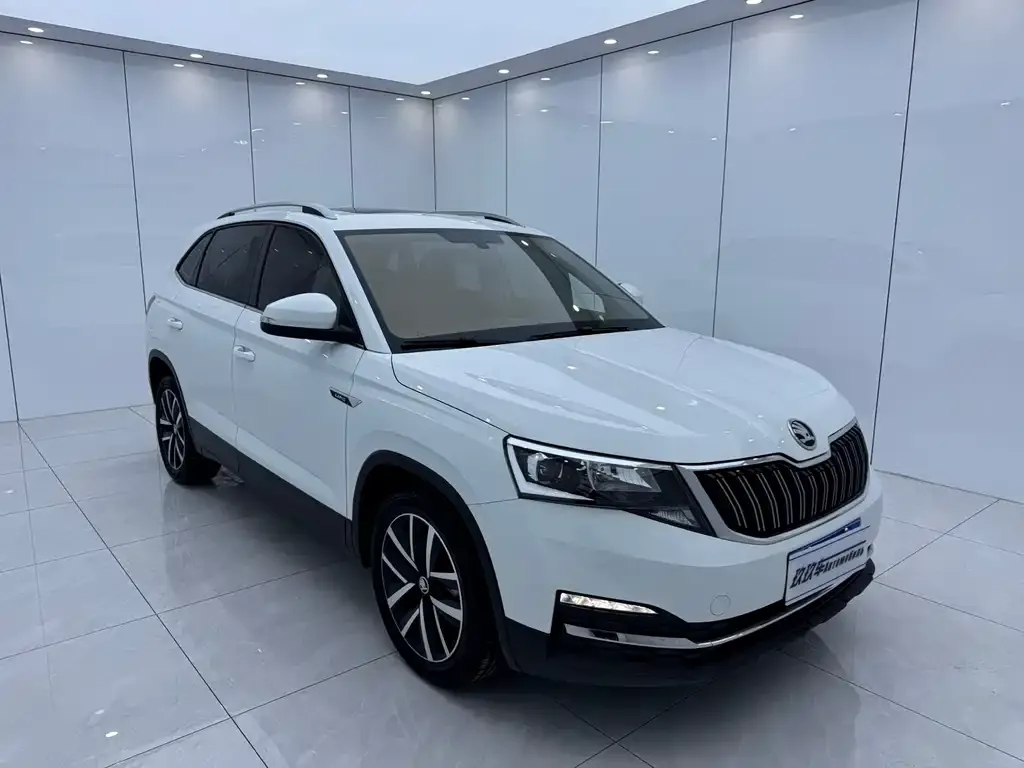Skoda Kamiq — фото 4