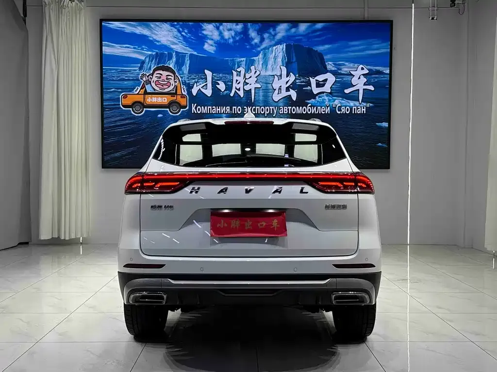 Haval H6 — фото 8