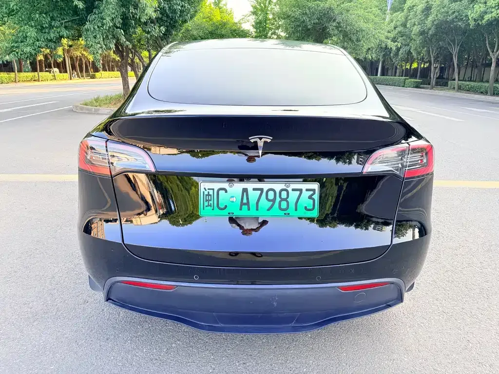 Tesla Model Y — фото 6