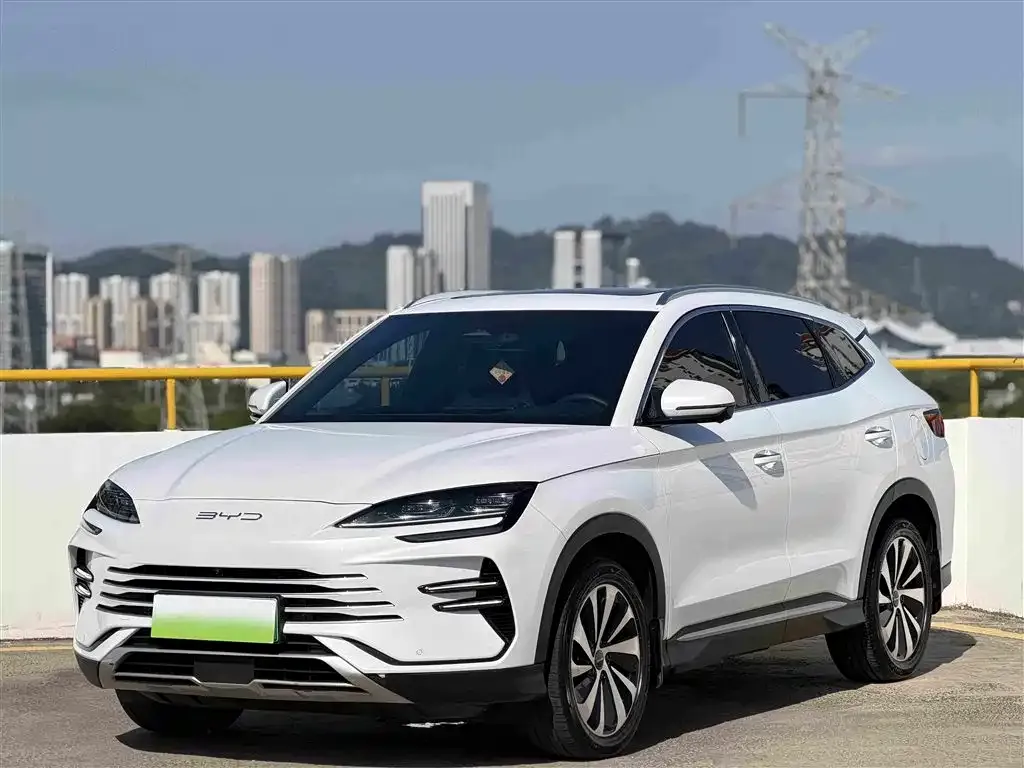 BYD PLUS New Energy — фото 1