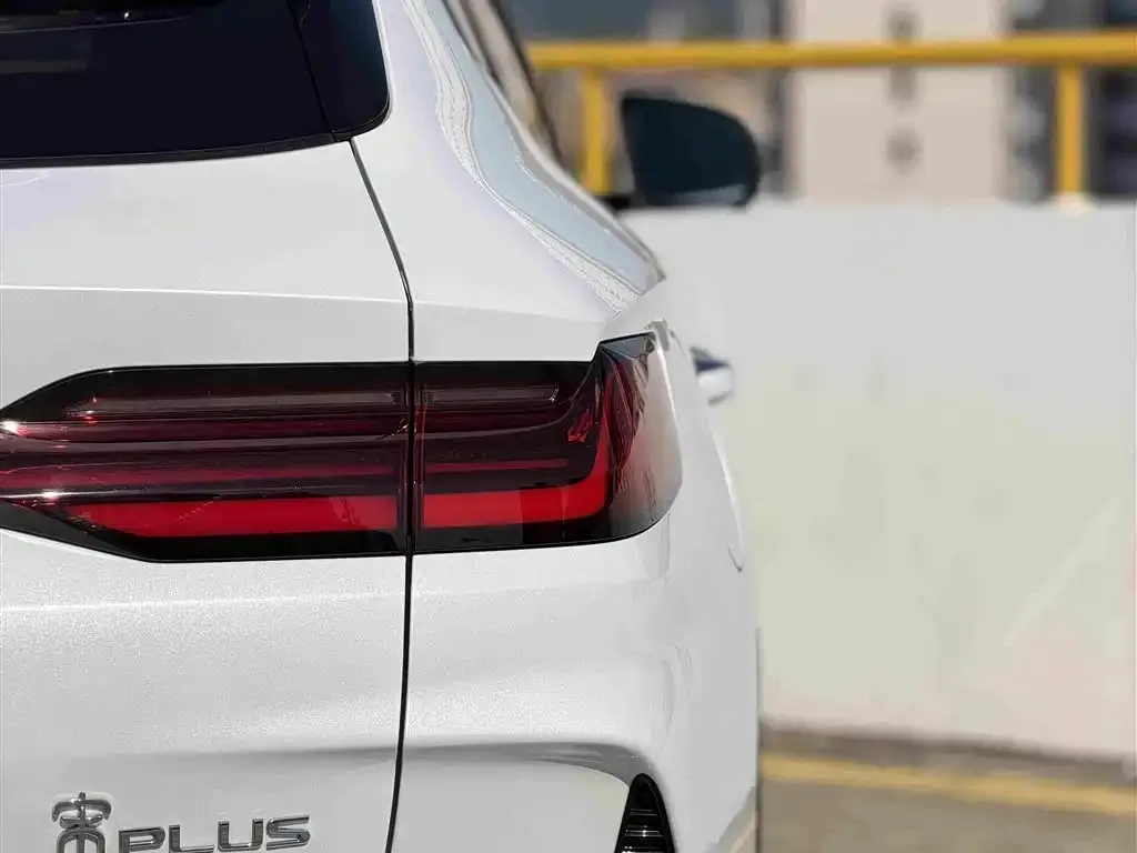 BYD PLUS New Energy — фото 9