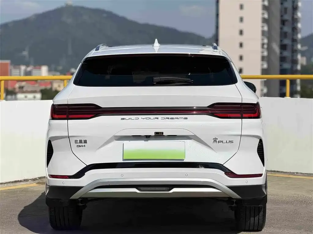 BYD PLUS New Energy — фото 3
