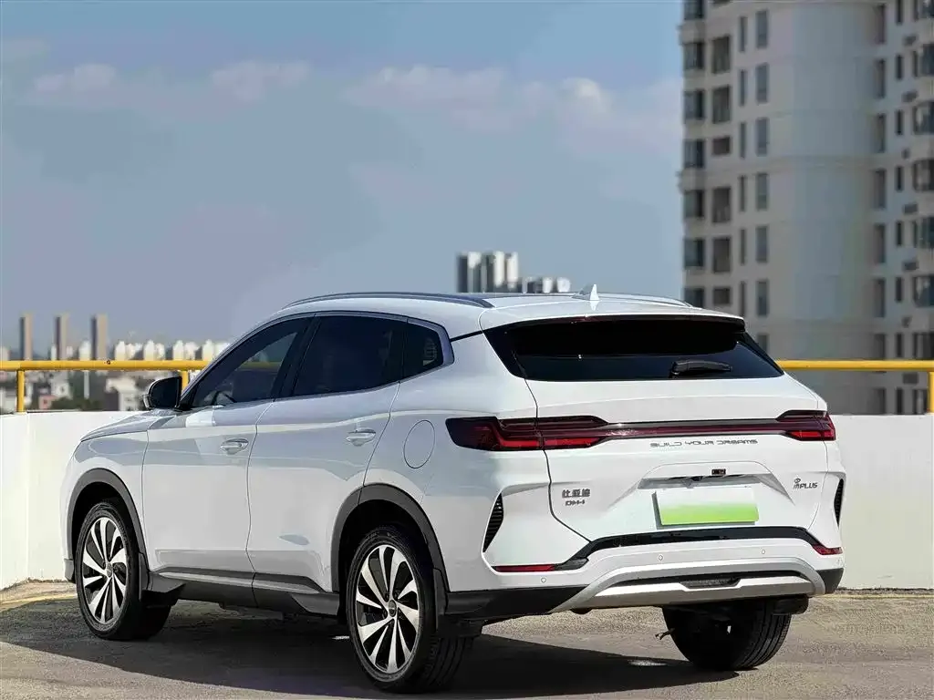 BYD PLUS New Energy — фото 5