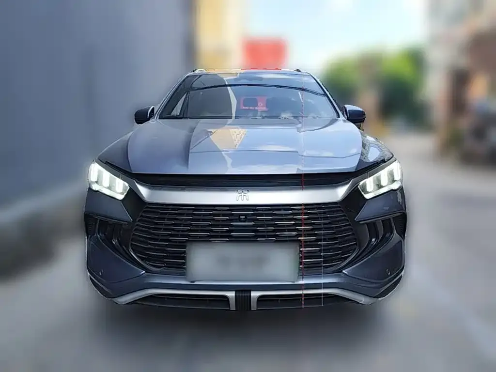 BYD Pro New Energy — фото 7