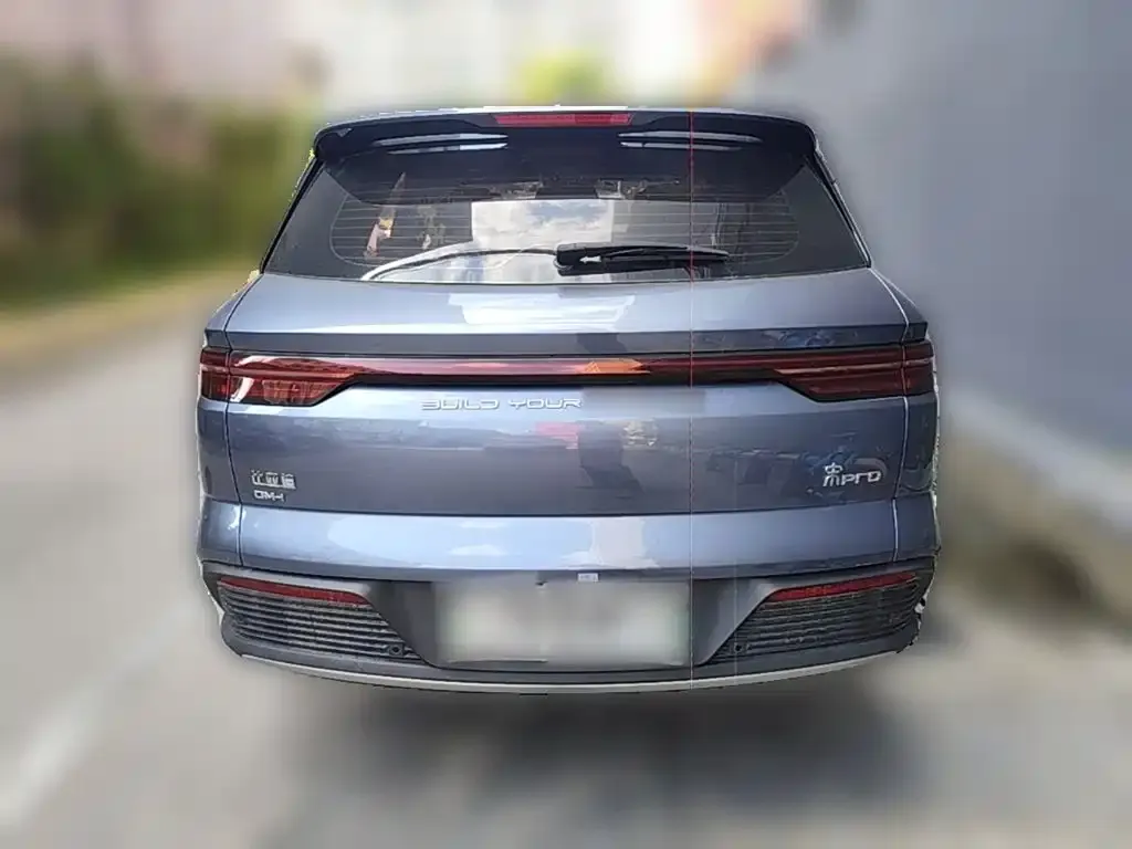 BYD Pro New Energy — фото 5
