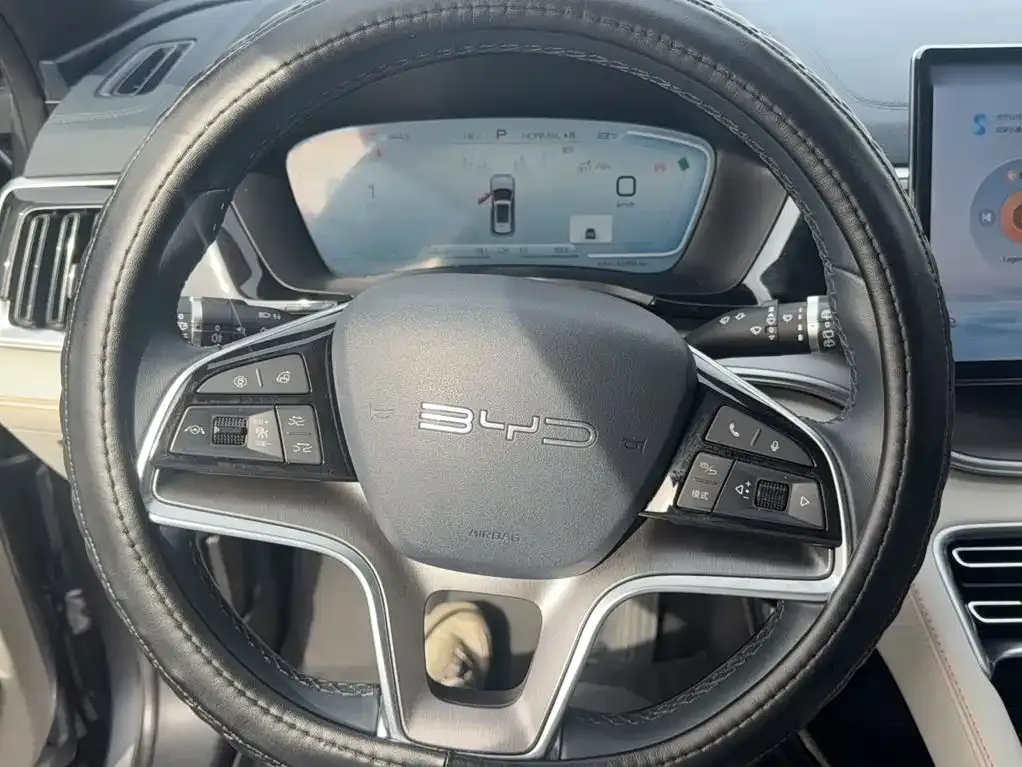 BYD PLUS New Energy — фото 6