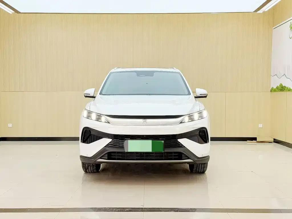 BYD Pro New Energy — фото 3
