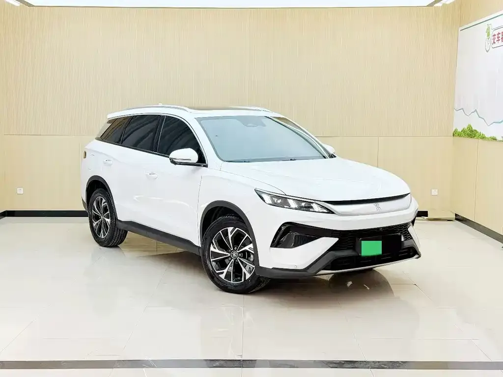 BYD Pro New Energy — фото 6