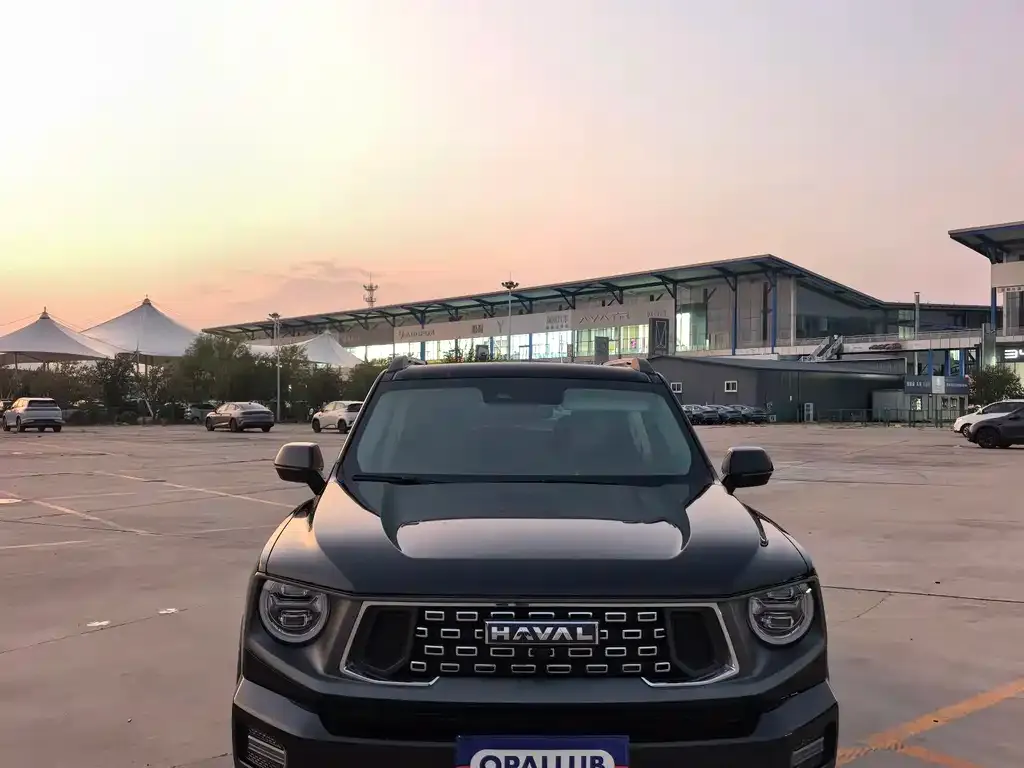 Haval Big Dog PLUS — фото 6