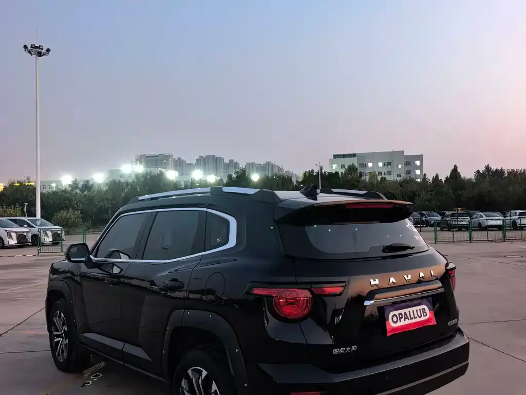 Haval Big Dog PLUS — фото 3