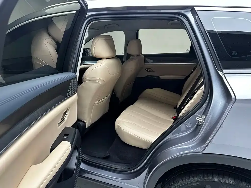 BYD Pro New Energy — фото 10