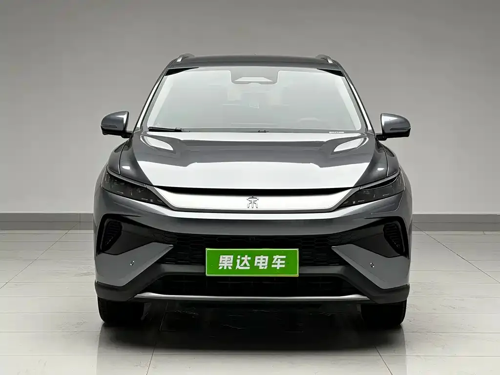 BYD Pro New Energy — фото 8