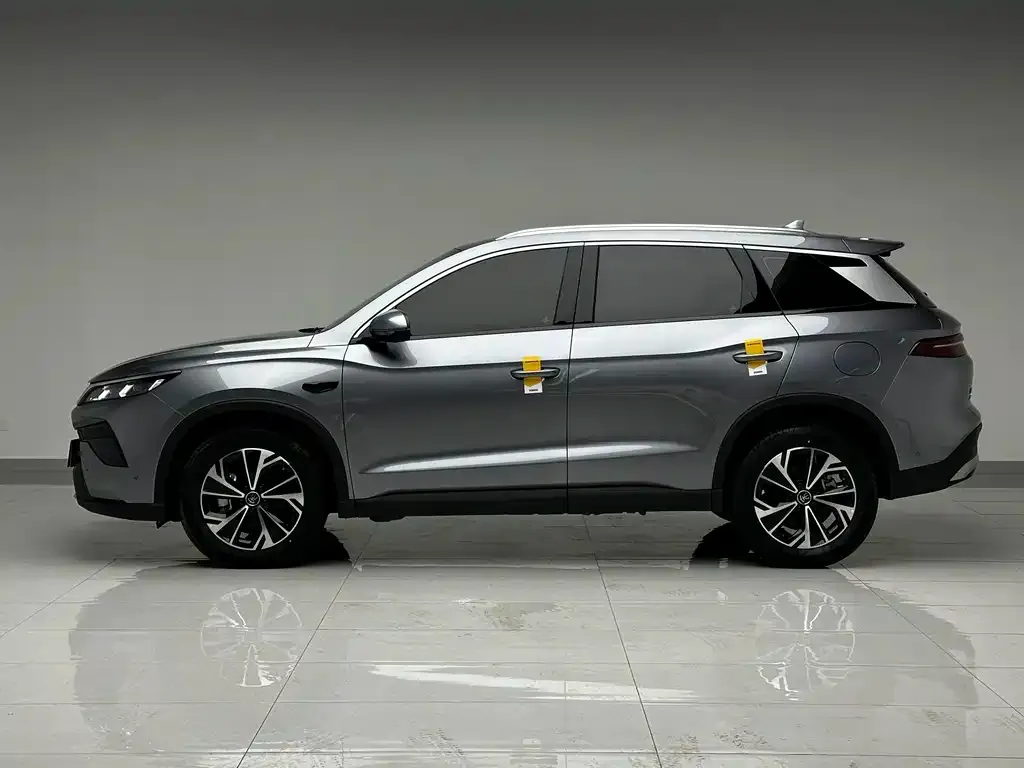 BYD Pro New Energy — фото 9
