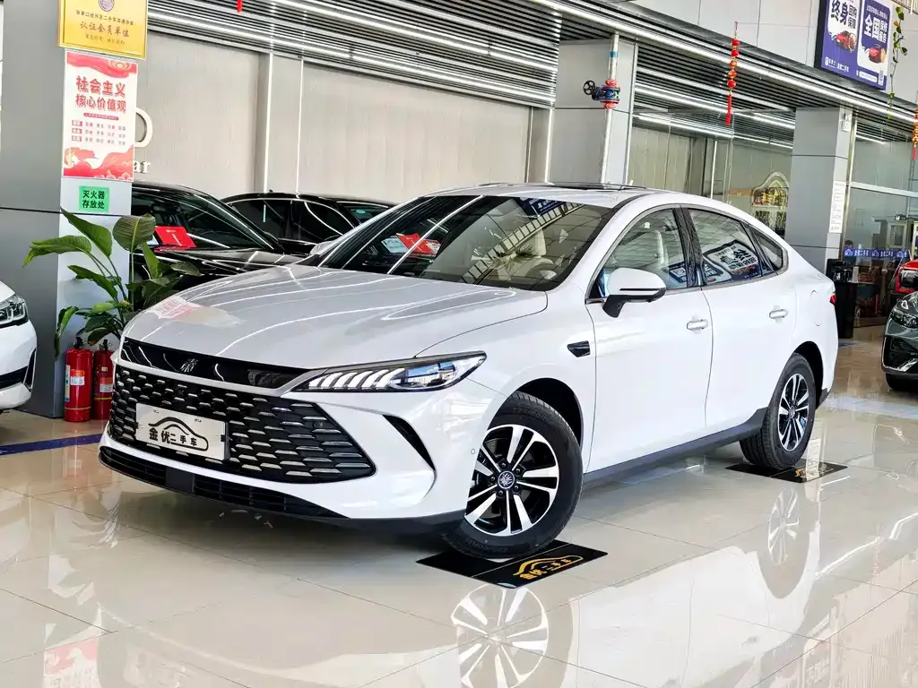 BYD Qin PLUS — фото 1
