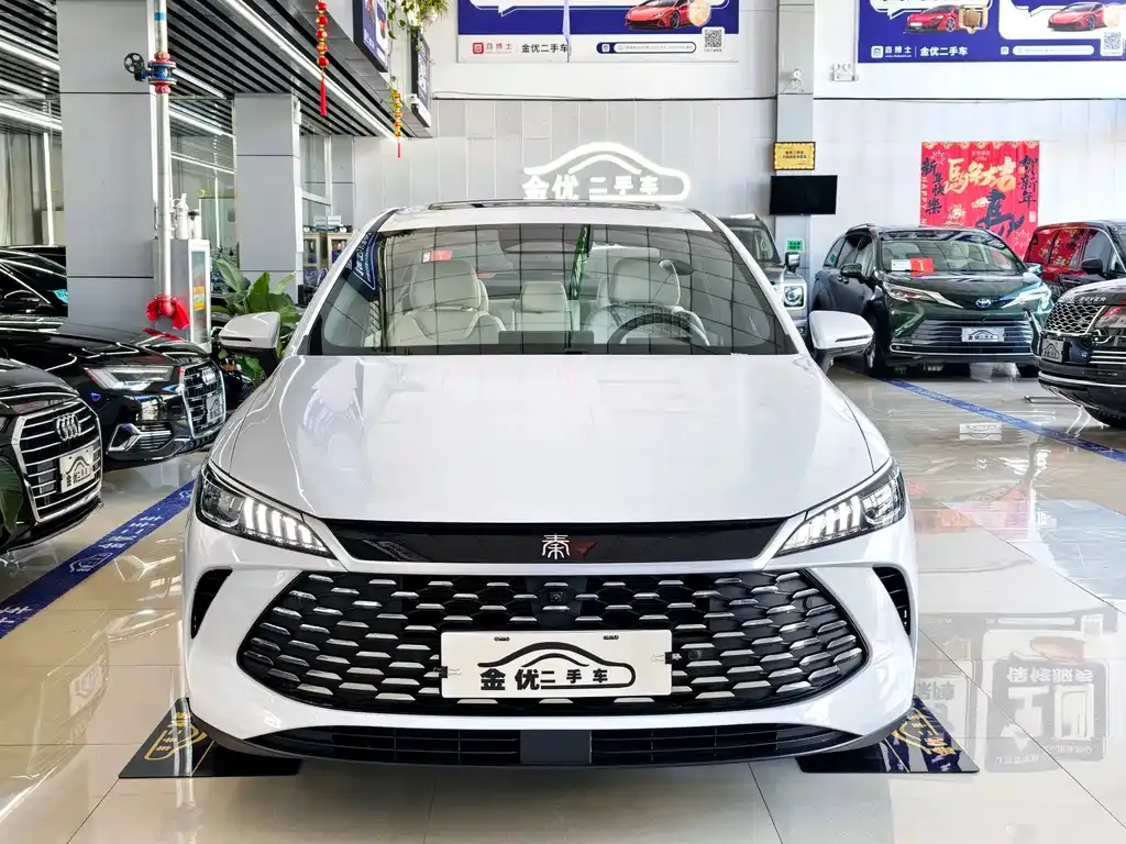 BYD Qin PLUS — фото 8