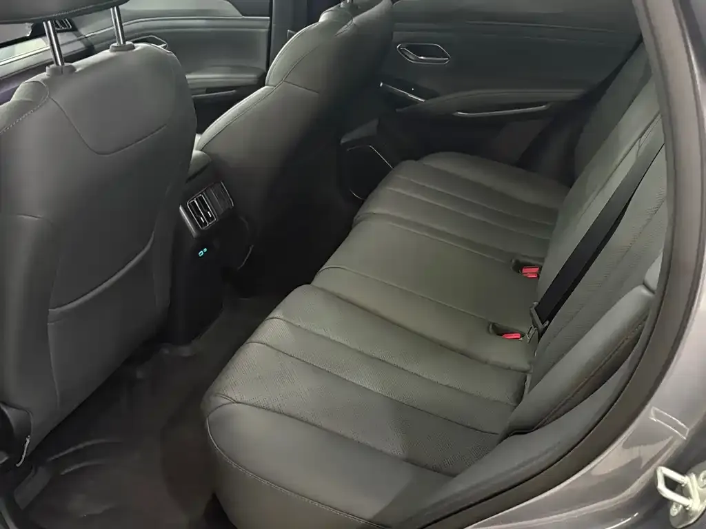BYD L DM-i — фото 3
