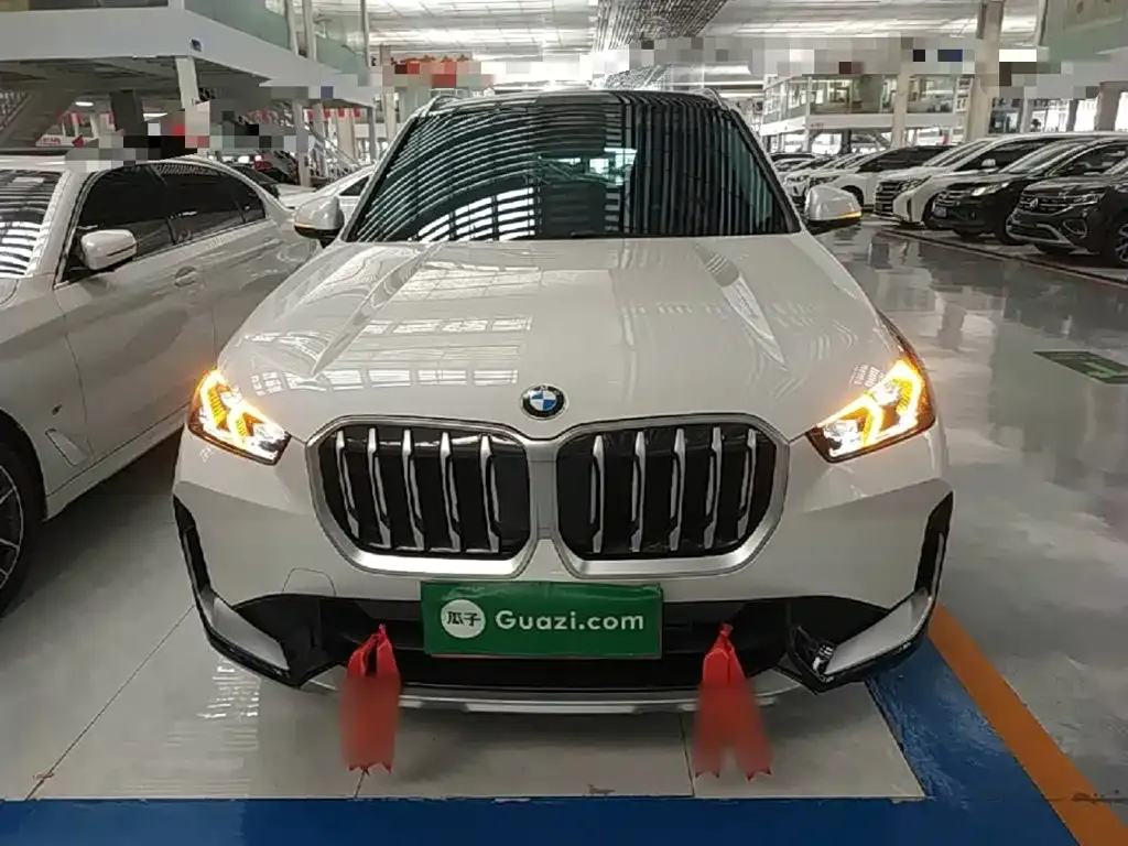 BMW X1 — фото 10