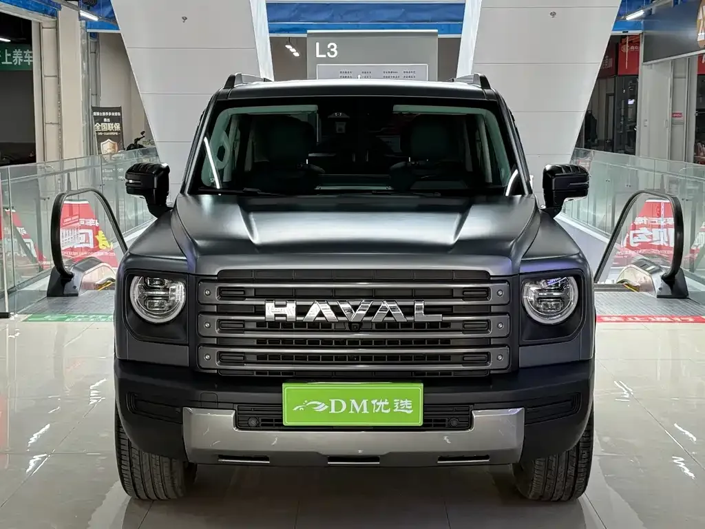 Haval Menglong New Energy — фото 10