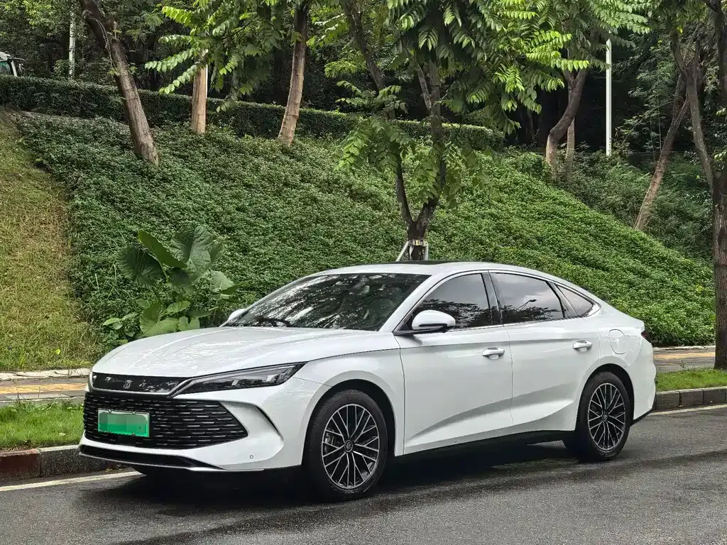 BYD Qin L — фото 1