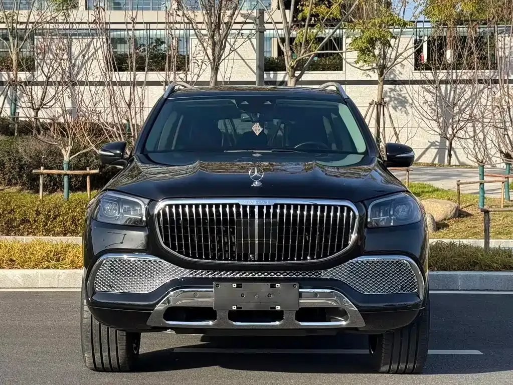 Mercedes-Benz GLS — фото 6